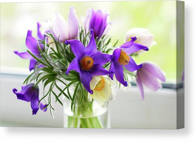 Flower Canvas Print featuring the photograph Flower #63 by Mariel Mcmeeking