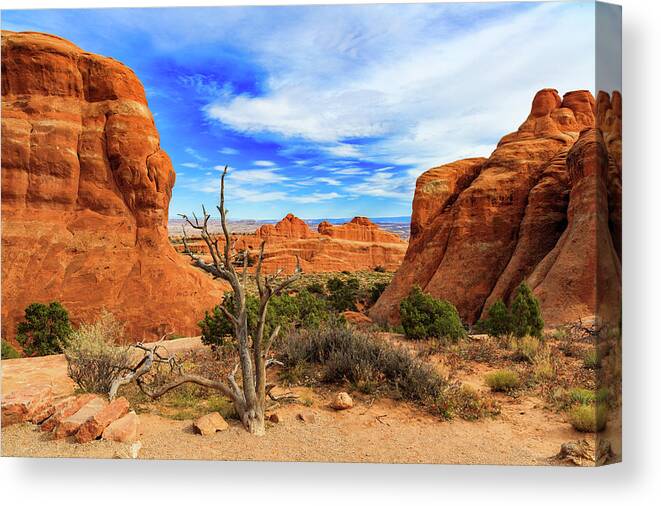 Arches National Park Canvas Print featuring the photograph Arches National Park #7 by Raul Rodriguez