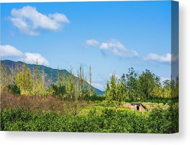 Countryside Canvas Print featuring the photograph Countryside scenery in autumn #7 by Carl Ning