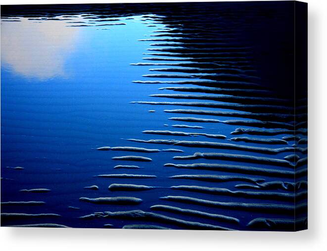 Blue Canvas Print featuring the photograph 7 In Blue by Kreddible Trout