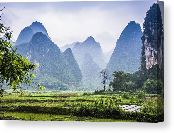 Karst Canvas Print featuring the photograph Karst rural scenery in spring #7 by Carl Ning
