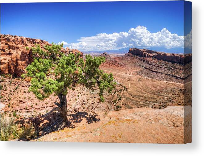 Landscape Canvas Print featuring the photograph Moab #7 by Brett Engle