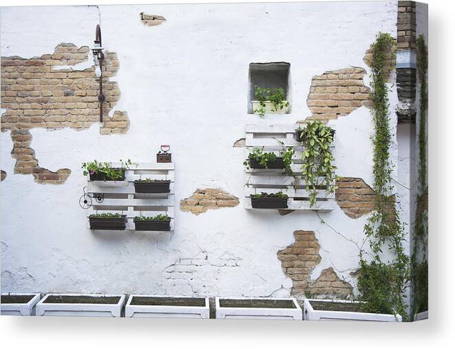 Pallet Canvas Print featuring the photograph Pallet ideas for gardening #7 by Newnow Photography By Vera Cepic