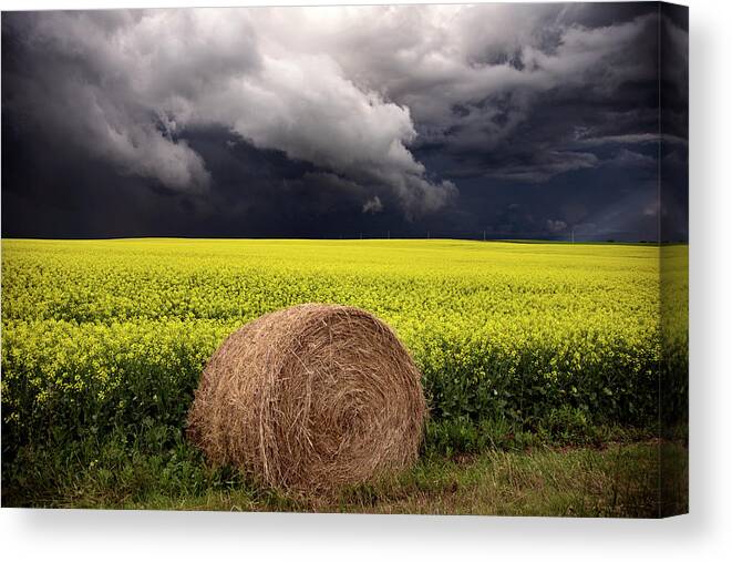 Summer Canvas Print featuring the photograph Storm Clouds Saskatchewan #77 by Mark Duffy