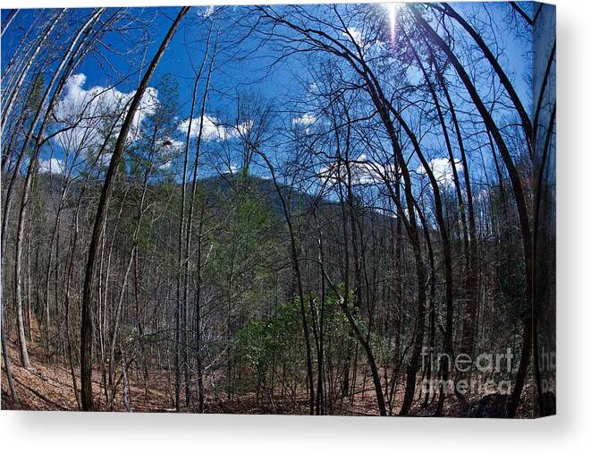 Lake Lure Canvas Print featuring the photograph Lake Lure #8 by Buddy Morrison