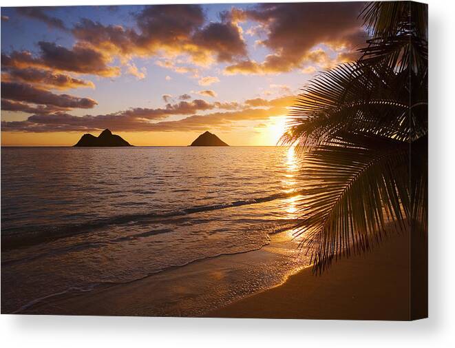 Beach Canvas Print featuring the photograph Lanikai Sunrise #8 by Tomas del Amo - Printscapes