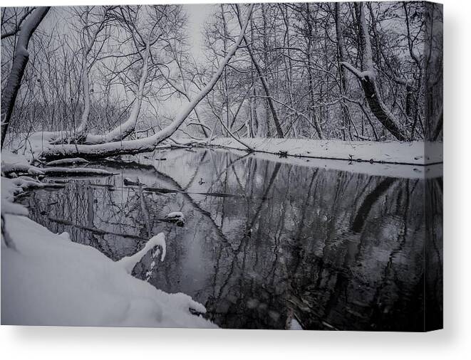 Tree Canvas Print featuring the photograph Snow Covered Landscapes In Belmont North Carolina Along Catawba #9 by Alex Grichenko