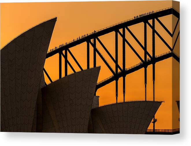 Sydney Canvas Print featuring the photograph A Climb Above The Sails by Renee Doyle