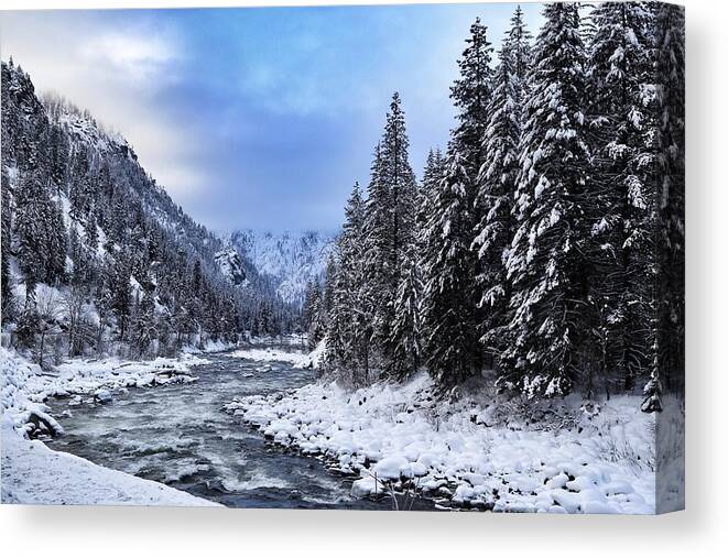 A Cold Winter Day Canvas Print featuring the photograph A cold winter day by Lynn Hopwood