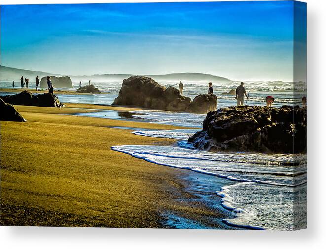Bodega Bay Canvas Print featuring the photograph A Day At The Beach by Paul Gillham