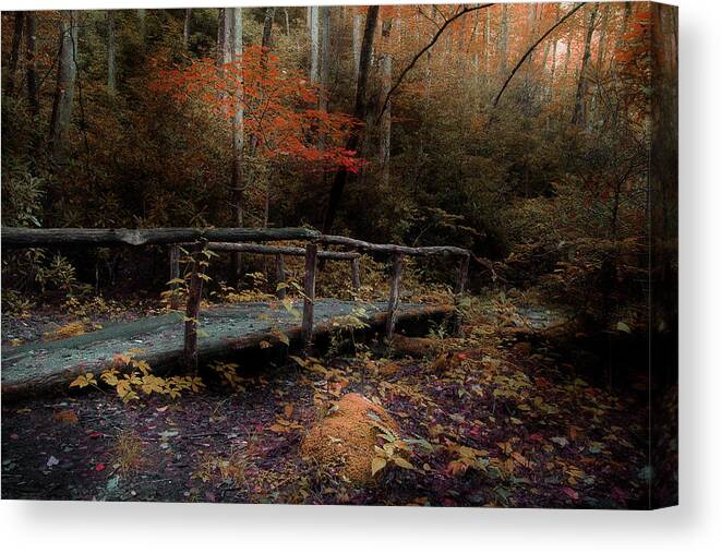 Nature Trail Bridge Canvas Print featuring the photograph A Day Hiking by Mike Eingle