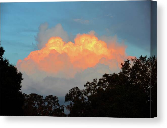 A Delicate Sky Canvas Print featuring the photograph A delicate sky by David Lee Thompson