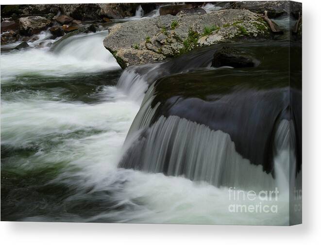 Great Smoky Mountains National Park Canvas Print featuring the photograph A Drop in the Water Level by Bob Phillips
