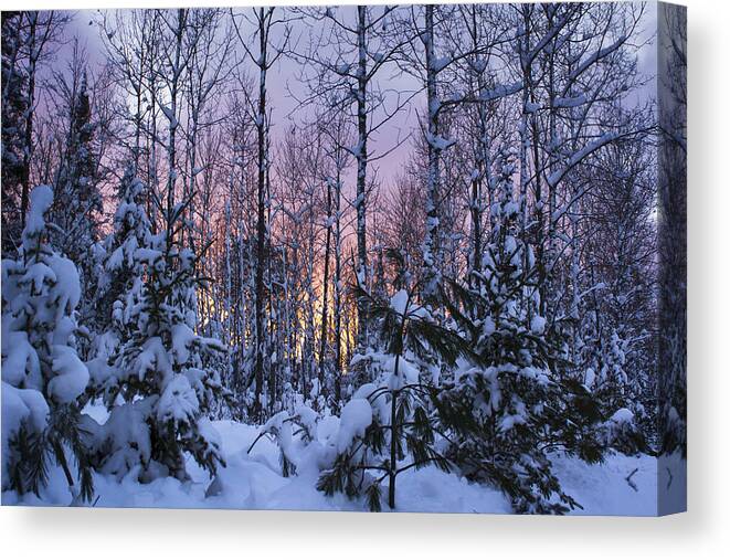  Canvas Print featuring the photograph A Hidden Trail by Dan Hefle
