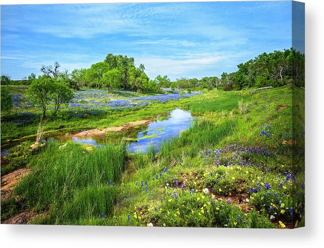 Willow City Loop Canvas Print featuring the photograph A Little Taste of Heaven by Lynn Bauer