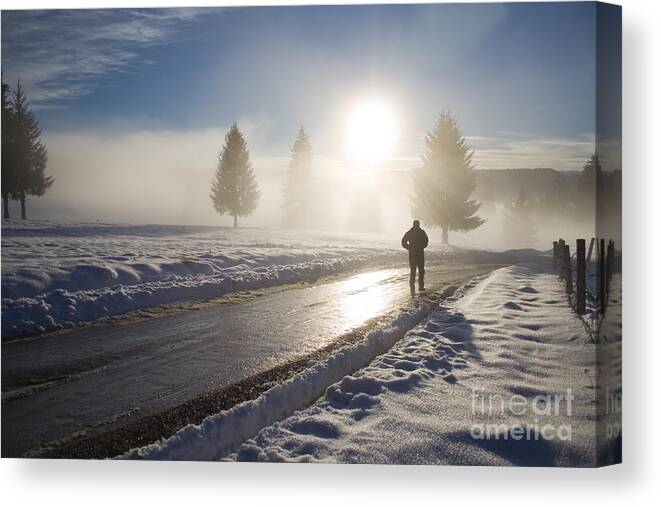 Landscape Canvas Print featuring the photograph A lonely winter by Gabriela Insuratelu