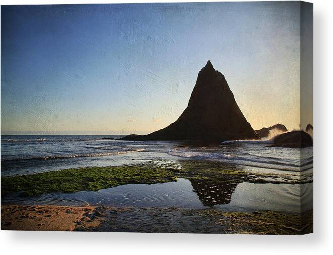 Martins Beach Canvas Print featuring the photograph A Long Lonely Time by Laurie Search