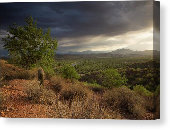 Landscape Canvas Print featuring the photograph A New Beginning by Sue Cullumber