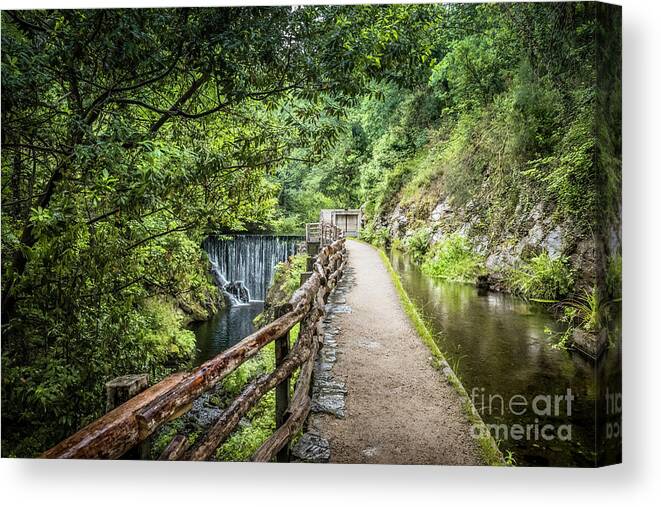 Mazonovo Canvas Print featuring the photograph A path between two waters by RicardMN Photography
