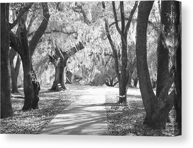 Black And White Canvas Print featuring the photograph A Place for Contemplation IR by Suzanne Gaff