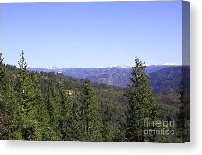Sierra Nevada Canvas Print featuring the photograph A Sierra Afternoon by Mary Chris Hines