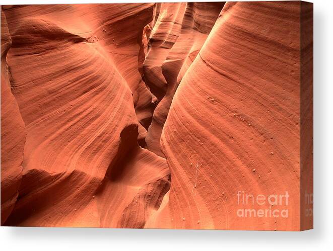 Waterholes Canvas Print featuring the photograph A Tight Fit by Adam Jewell