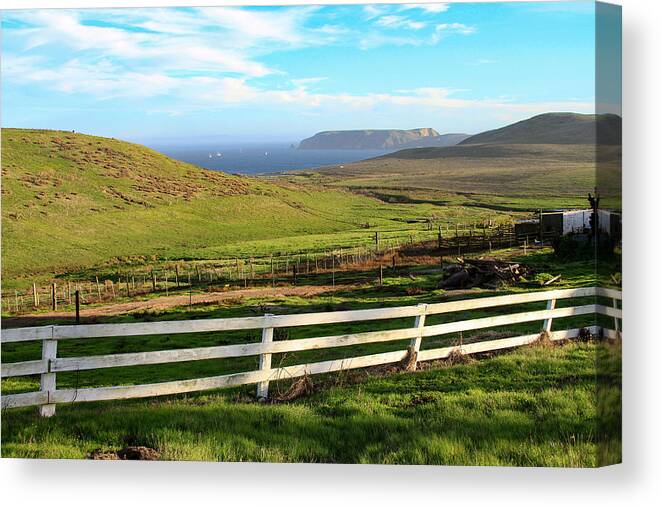 Point Reyes C Ranch Canvas Print featuring the photograph A View from C Ranch to Drakes Estero Point Reyes by Bonnie Follett