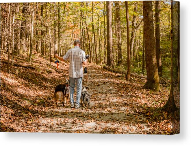 Hiking Canvas Print featuring the photograph A Walk in the Woods by Cathy Donohoue