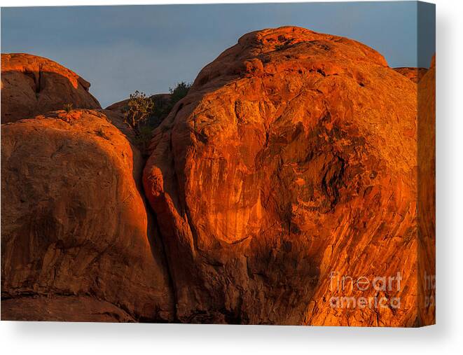 Utah Canvas Print featuring the photograph A Warm Welcome by Jim Garrison