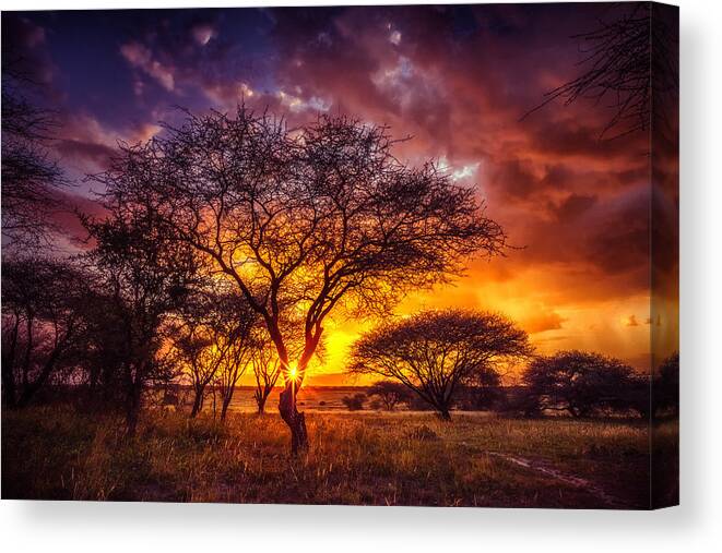 Africa Canvas Print featuring the photograph A Wish at Sunset by Sylvia J Zarco