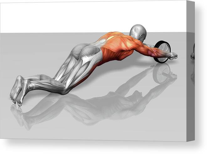 Horizontal Canvas Print featuring the photograph Ab Wheel Exercise by MedicalRF.com