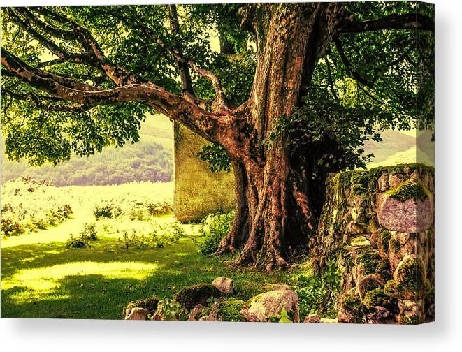 Ireland Canvas Print featuring the photograph Abandoned Ruins by Jenny Rainbow
