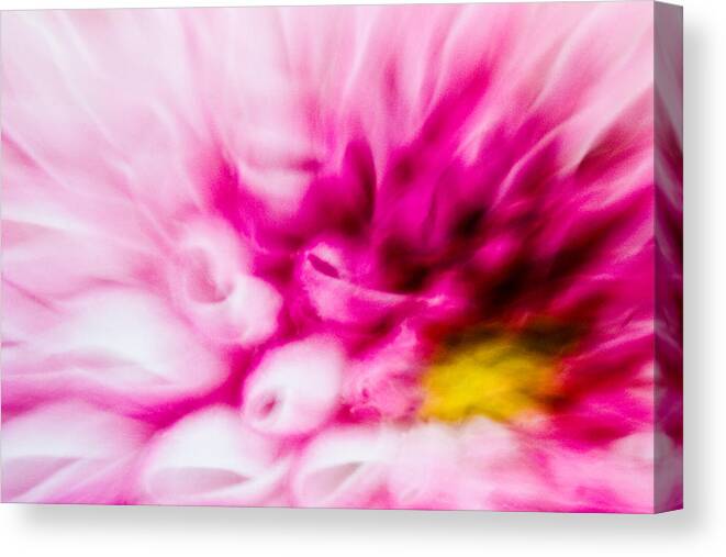 Abstract Canvas Print featuring the photograph Abstract Floral No. 1 by Andrew Giovinazzo