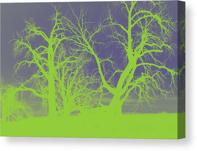 Abstract Canvas Print featuring the photograph Abstract Green-Blue Tree by Mike Loudermilk