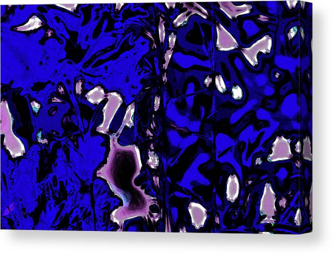 Abstract Canvas Print featuring the photograph Abstract Lizard by Gina O'Brien