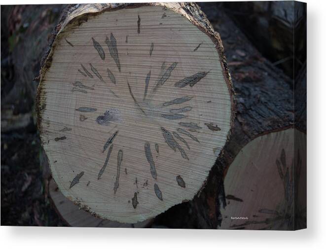 Abstract Canvas Print featuring the photograph Abstract Log 1 by Roberta Byram