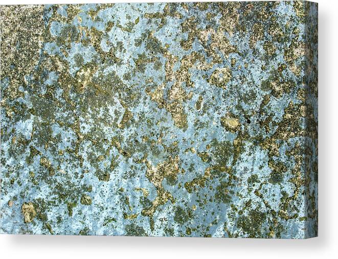 Coral Reef Canvas Print featuring the photograph Coral Reef Abstract Rock by Christina Rollo