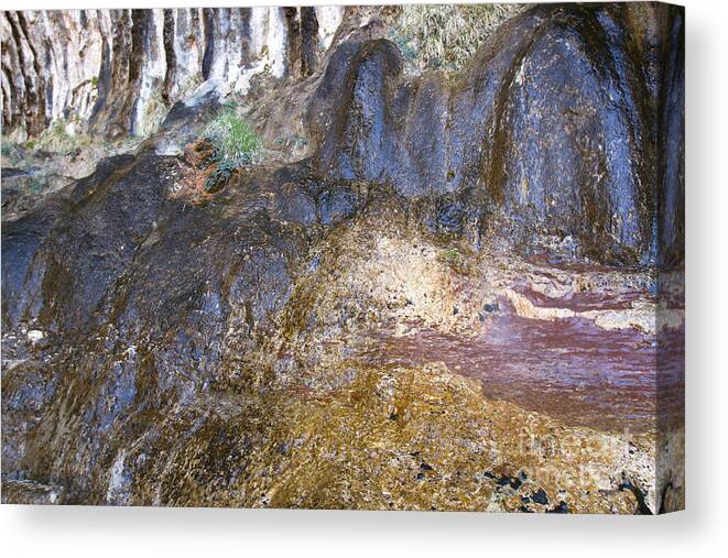 Color Canvas Print featuring the photograph Abstraction in Color and Texture from Wet Rock by Karen Foley