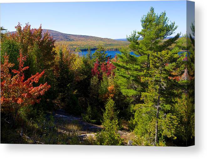 Acadia Canvas Print featuring the photograph Acadia National Park #4 by John Daly