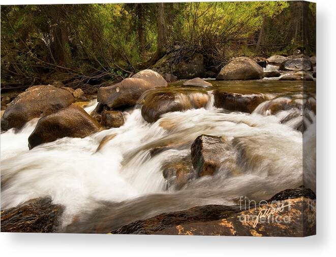 St. Vrain River Canvas Print featuring the photograph Across the St. Vrain by Bon and Jim Fillpot