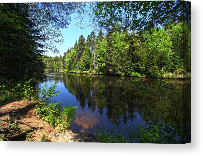 Adirondack Lake Water Pond Trees Pine Canvas Print featuring the photograph Adirondack Waters by Robert Och