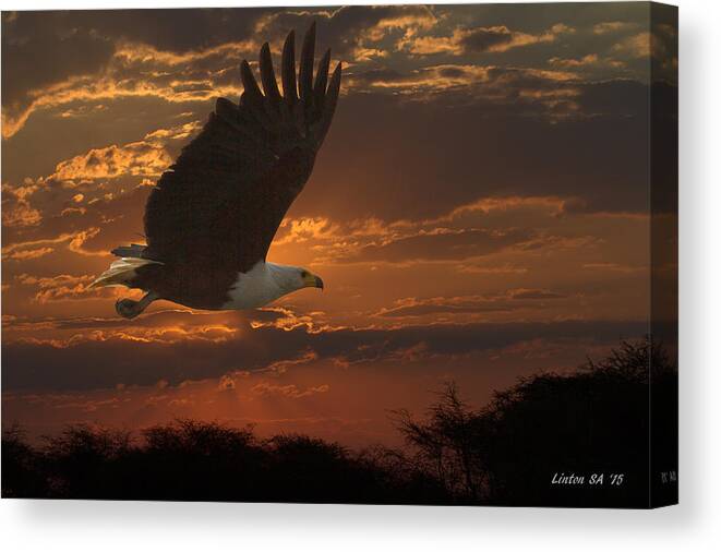 African Fish Eagle Canvas Print featuring the photograph African Fish Eagle At Sunset by Larry Linton