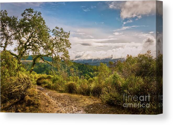 2011 Canvas Print featuring the photograph After the storm by Dean Birinyi