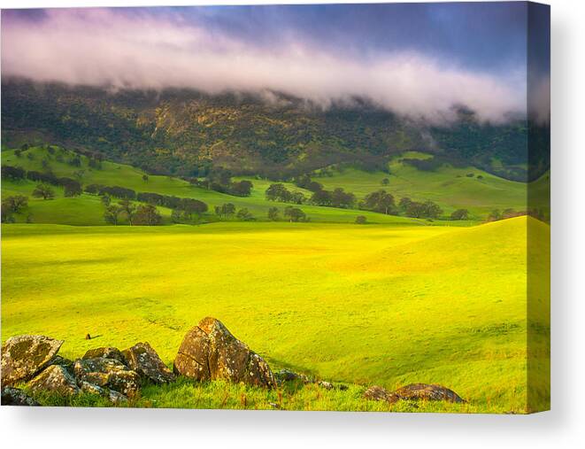 Landscape Canvas Print featuring the photograph After The Storm by Marc Crumpler