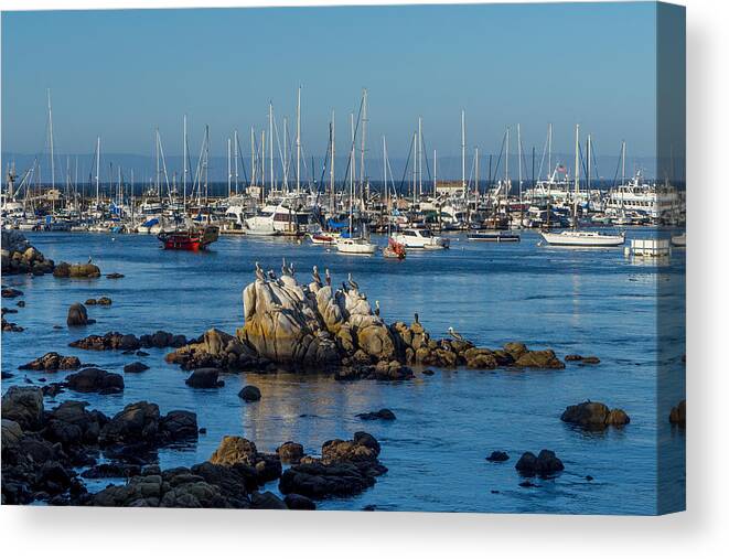 Monterey Canvas Print featuring the photograph Afternoon at the Breakwater by Derek Dean