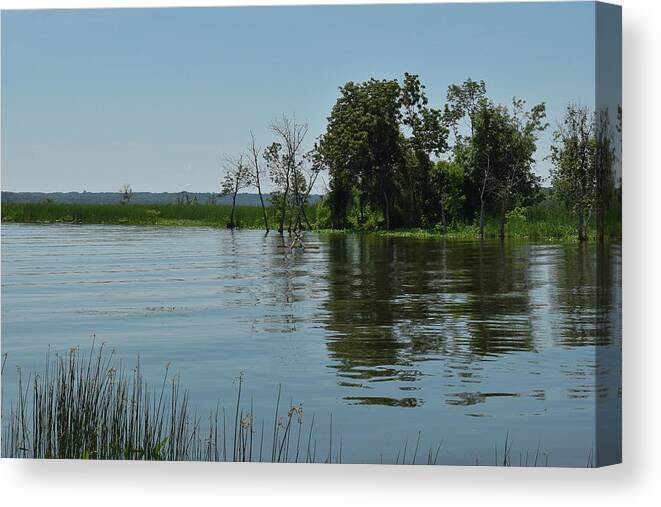 Refuge Canvas Print featuring the photograph Afternoon calm by Liz Albro