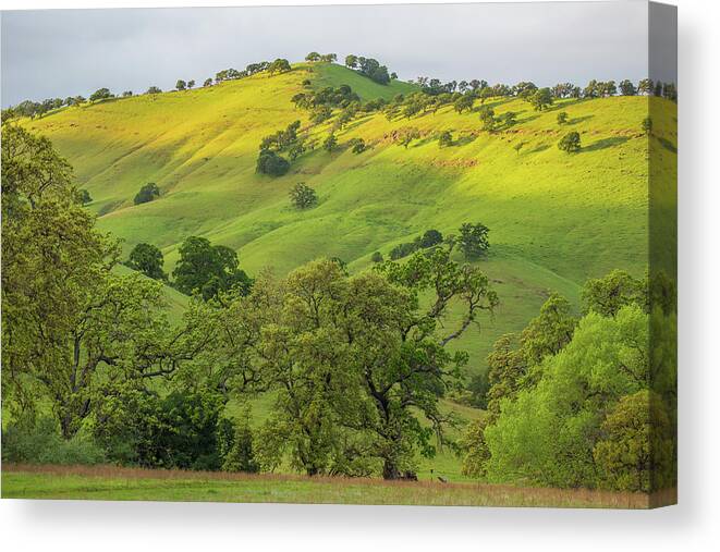 Landscape Canvas Print featuring the photograph Afternoon Light on Green Hills by Marc Crumpler