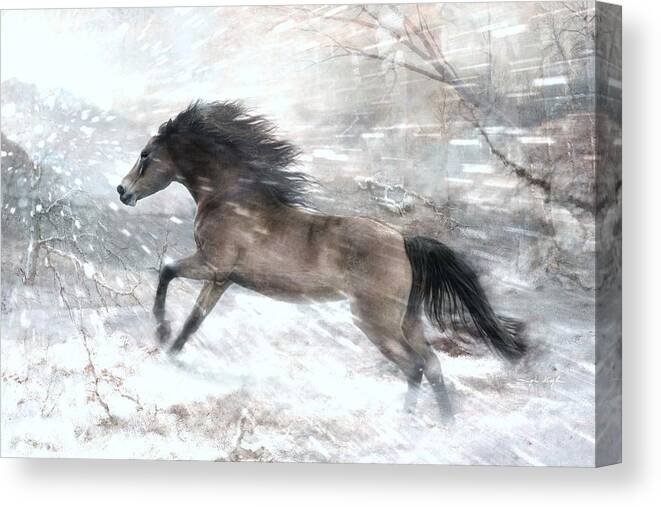  Canvas Print featuring the digital art Against The Wind by Dorota Kudyba