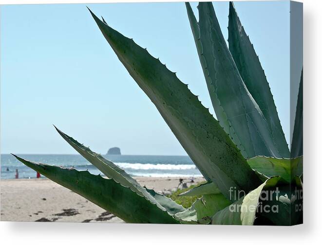 Waves Canvas Print featuring the photograph Agave Ocean Sky by Yurix Sardinelly