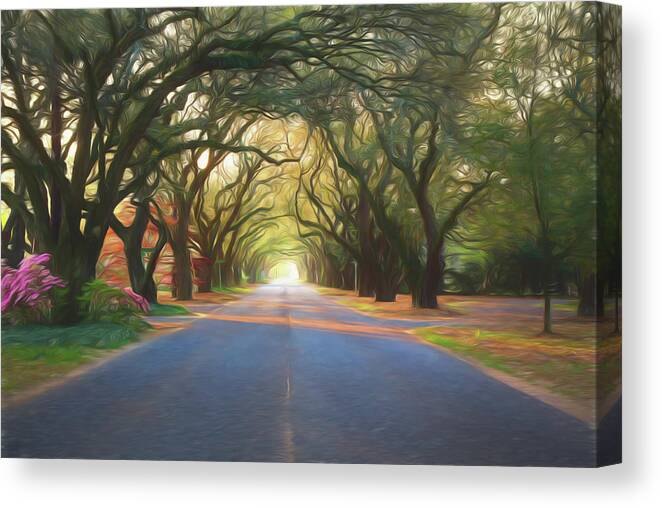South Boundary Canvas Print featuring the photograph Aiken South Boundary II by Shirley Radabaugh